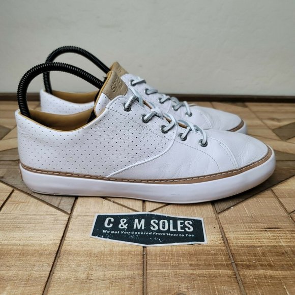 sperry gold cup haven